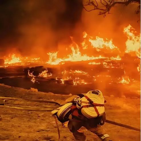 履帶式雙節森林草原(蘆葦)消防滅火全地形車